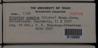 Image Associated With the Occurence